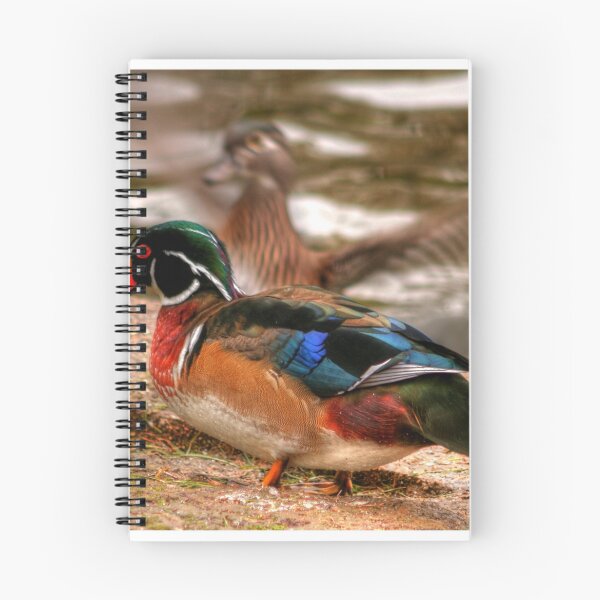 Item preview, Male Wood Duck designed and sold by Larry Trupp.