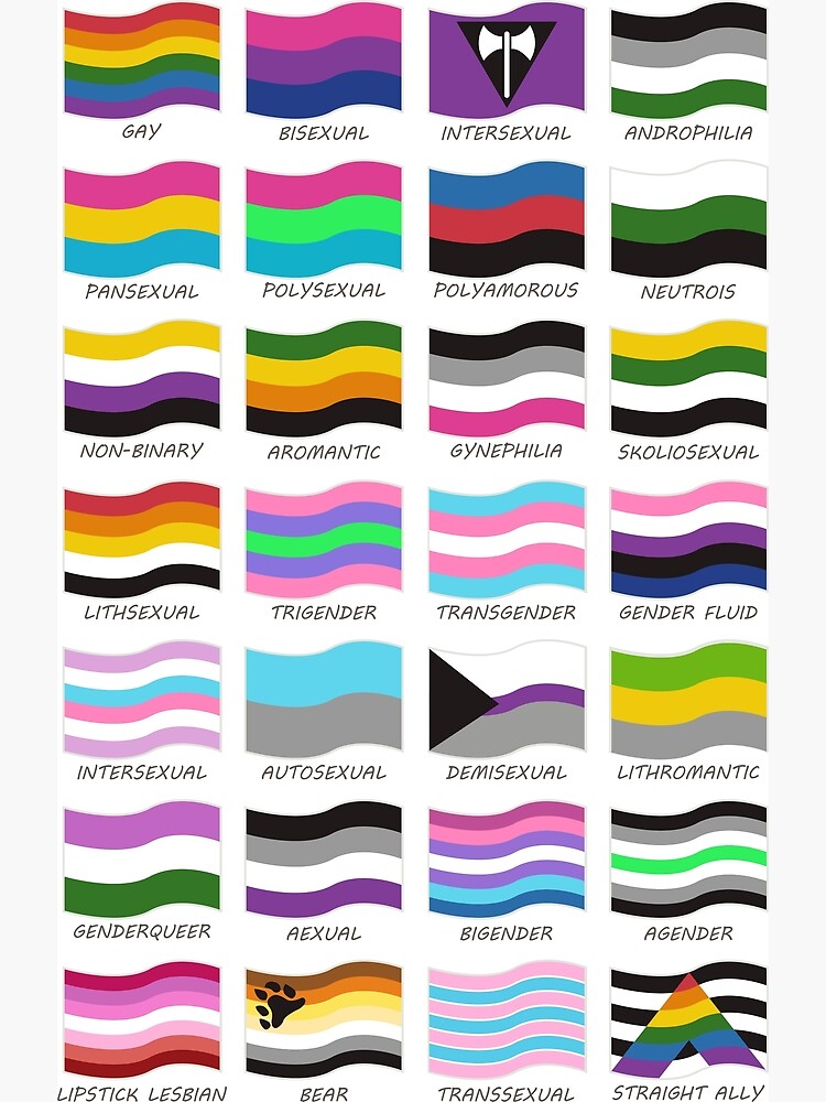 all the gay flag meanings
