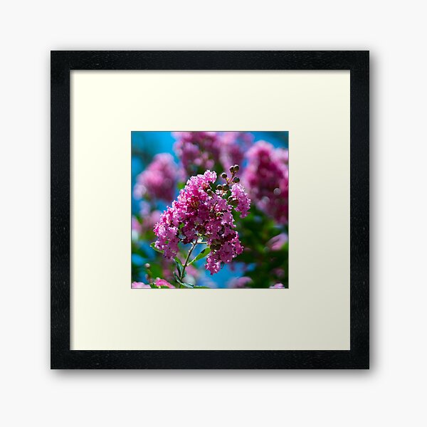 Item preview, Pink Crepe Myrtle Tree Flowers designed and sold by tdlacct.