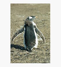 Does my bum look big in this?? Photographic Print