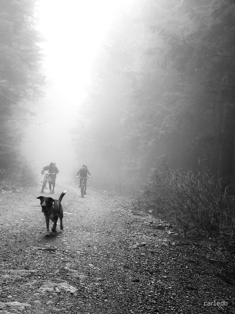 Thumbnail 3 of 3, Art Print, Fog Dog -Mt Fromme, winter ‘08 designed and sold by car1edb.