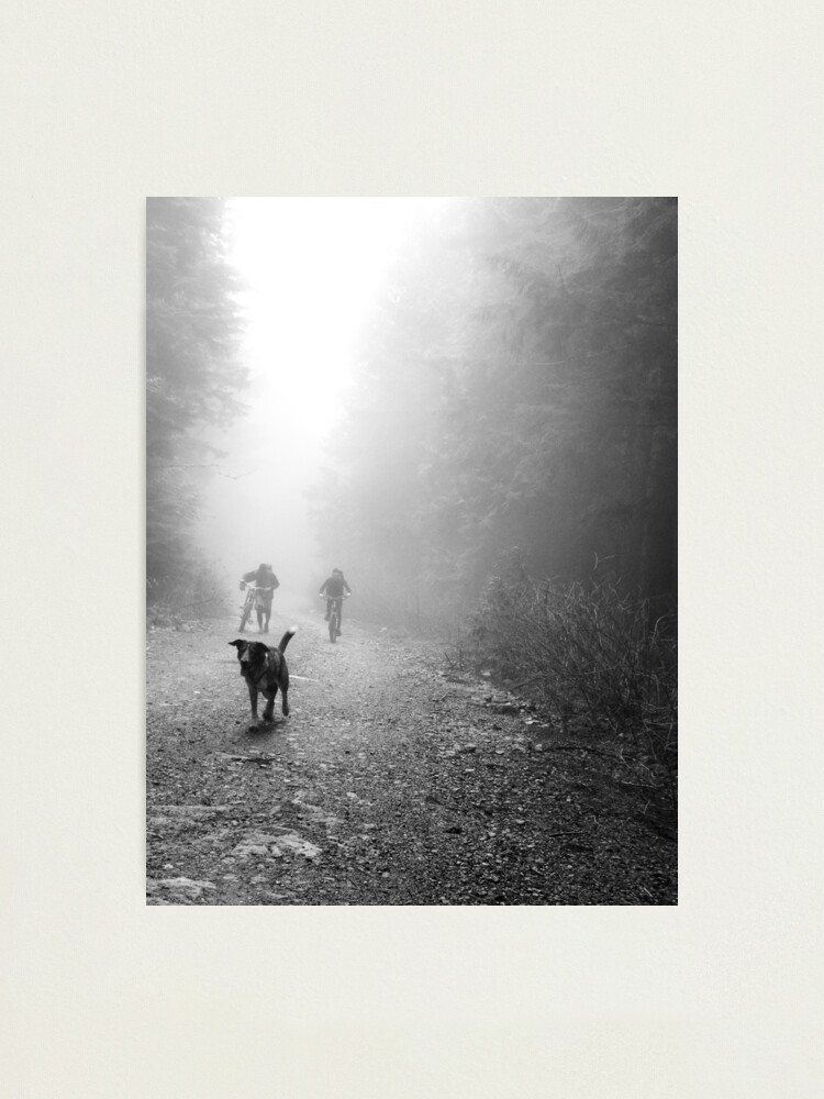 Thumbnail 1 of 3, Photographic Print, Fog Dog -Mt Fromme, winter ‘08 designed and sold by car1edb.