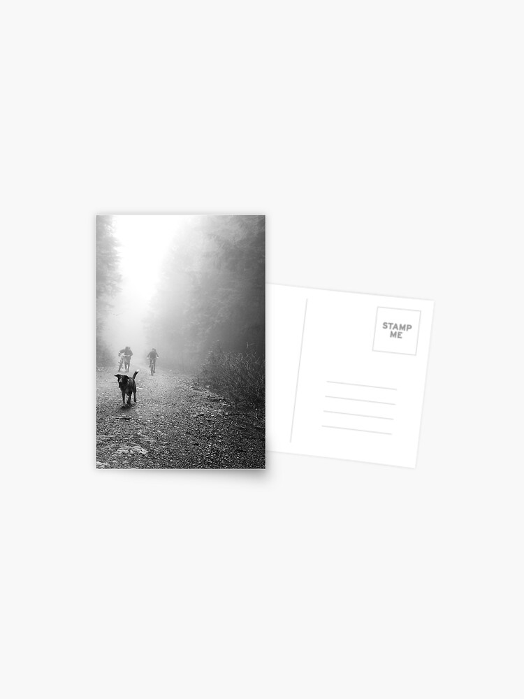 Thumbnail 1 of 2, Postcard, Fog Dog -Mt Fromme, winter ‘08 designed and sold by car1edb.