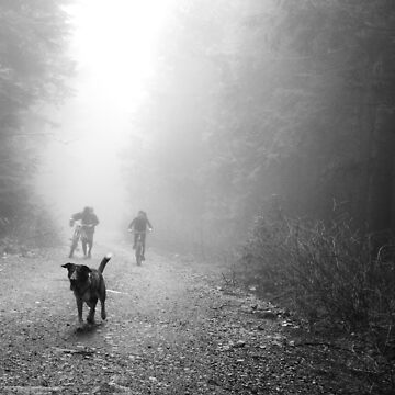 Artwork thumbnail, Fog Dog -Mt Fromme, winter ‘08 by car1edb