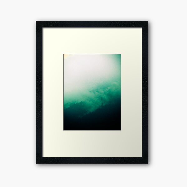 Lowdown -Golden ears park, spring ‘10  Framed Art Print