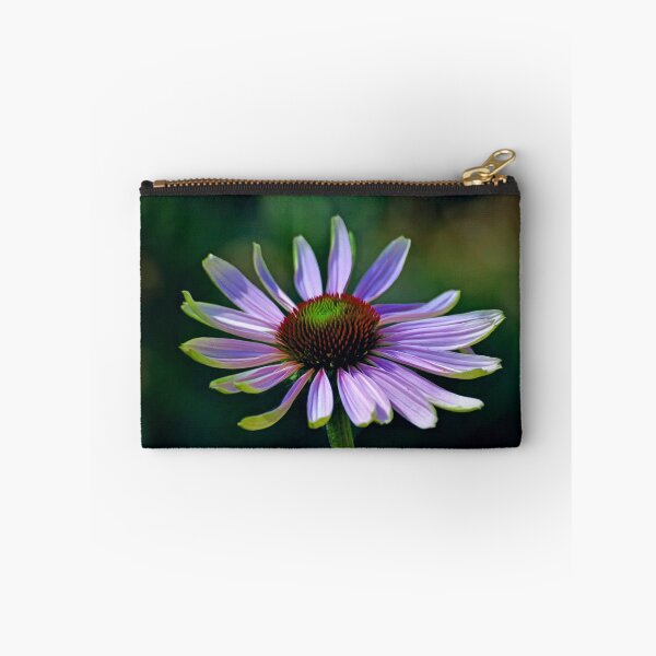 Item preview, Echinacea designed and sold by Savannah Gibbs.