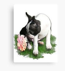 Sweetpea Metal Print