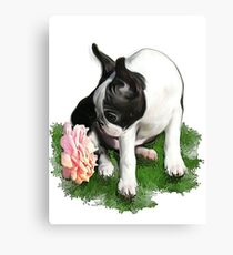 Sweetpea Canvas Print