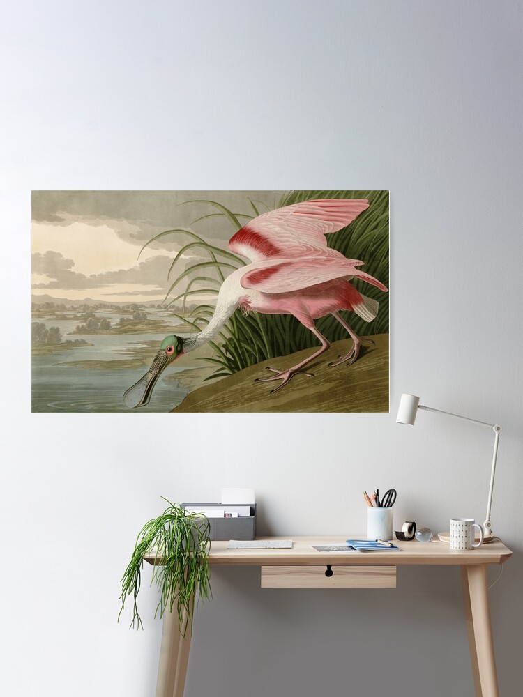 Pink Flamingo Framed On Canvas by Stanley Print House Print