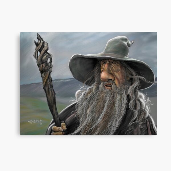 The Wizard Canvas Print
