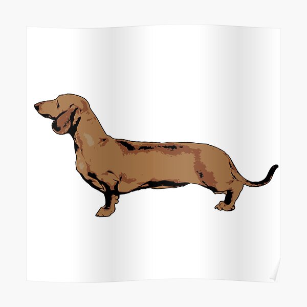 Red Smooth Haired Dachshund Poster