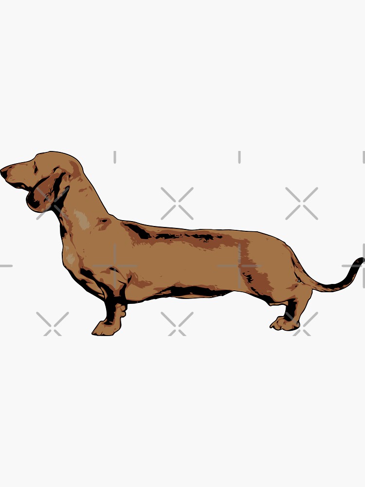 Red Smooth Haired Dachshund by tribbledesign