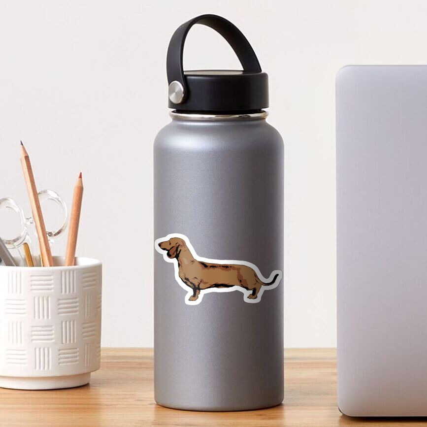 Red Smooth Haired Dachshund Sticker