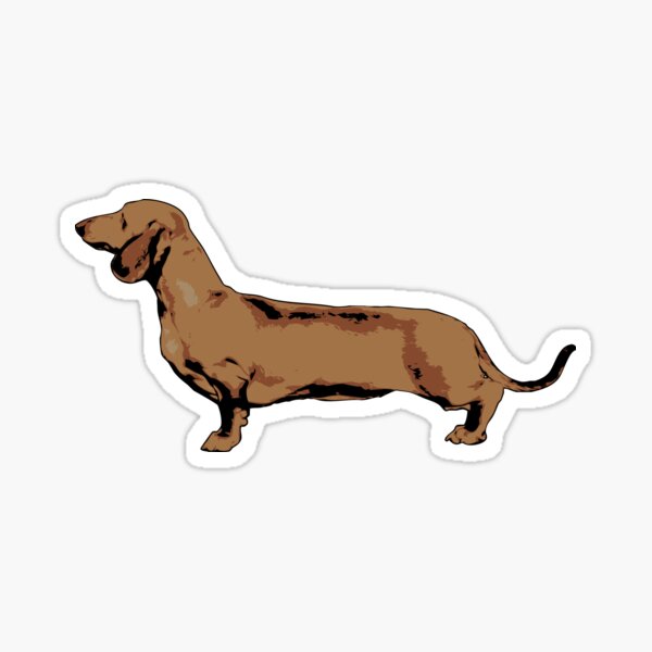 Red Smooth Haired Dachshund Sticker
