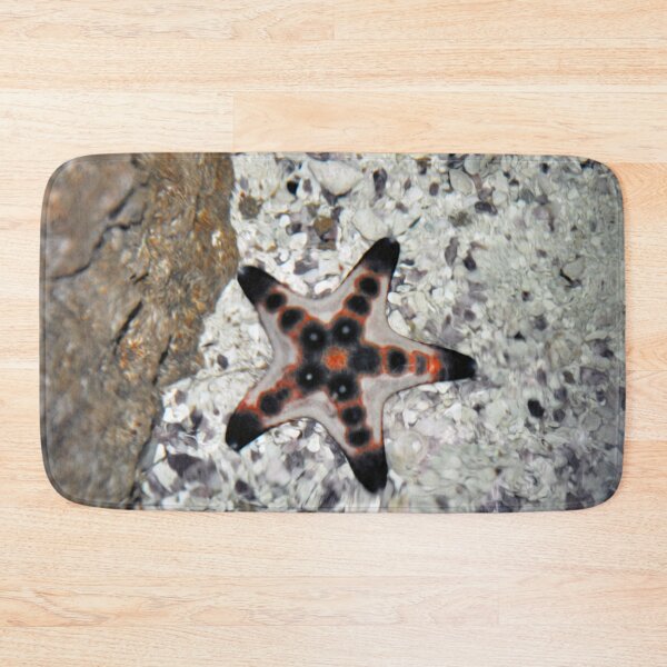 Item preview, Sea Star designed and sold by Savannah Gibbs.
