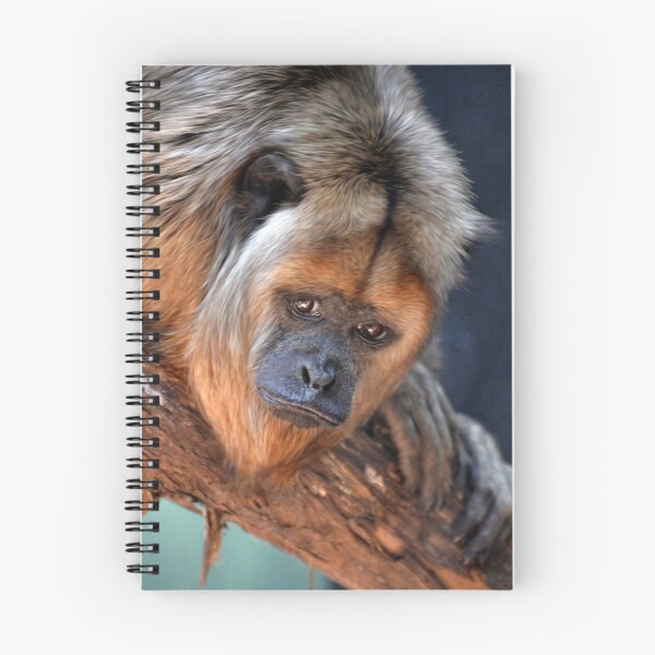 Item preview, Black and Gold Howler Monkey designed and sold by Savannah Gibbs.