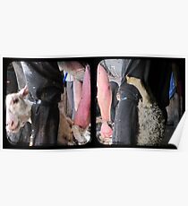 Click Go The Shears - TTV Diptych Poster