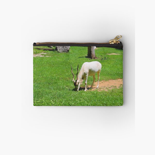 Item preview, Addax Photograph designed and sold by smoothinsomniac.