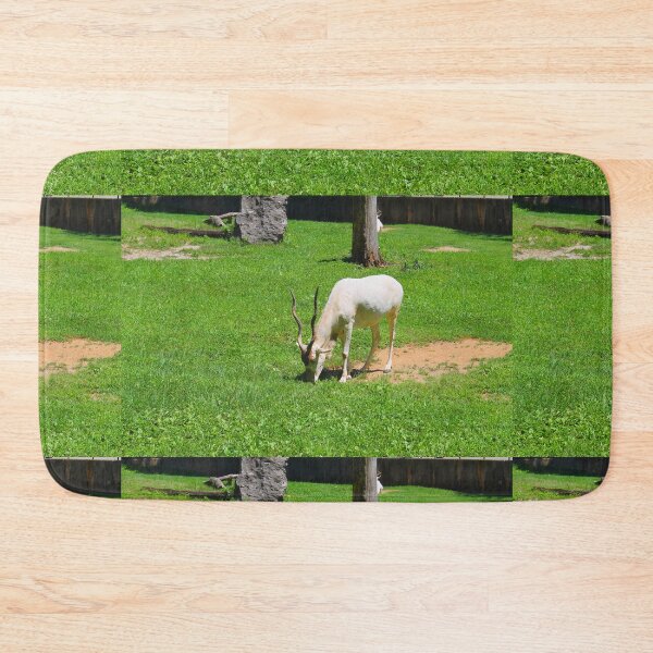 Item preview, Addax Photograph designed and sold by smoothinsomniac.
