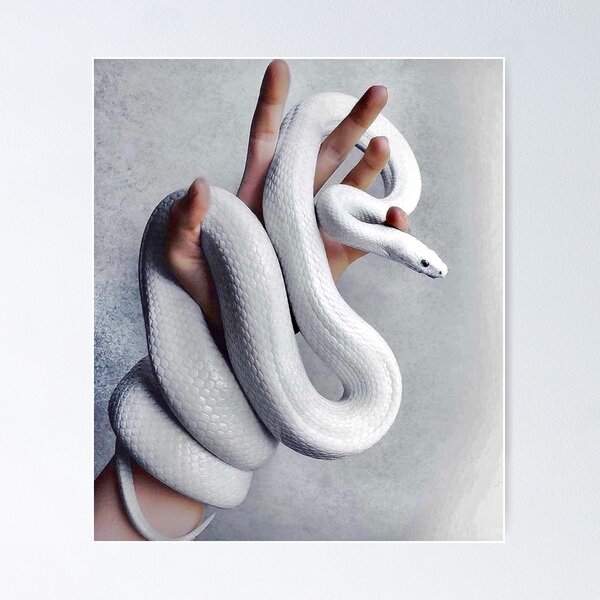 Item preview, White Snake designed and sold by ChicTea.