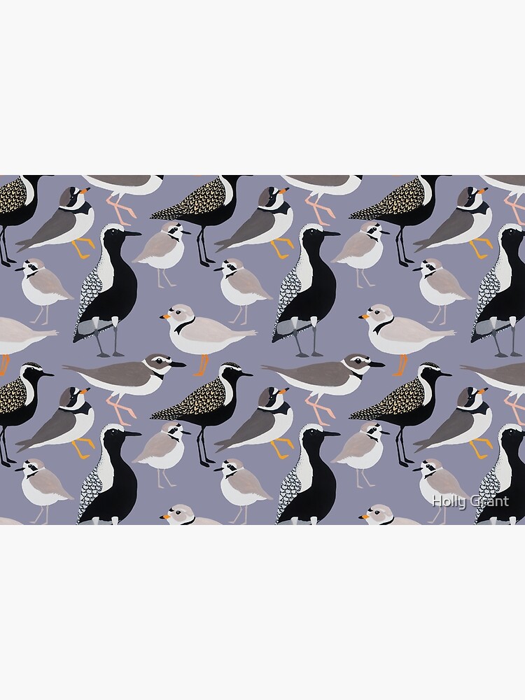 Plethora of Plovers by LadyElizabeth