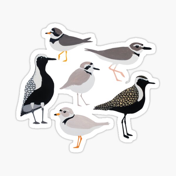 Plethora of Plovers Sticker