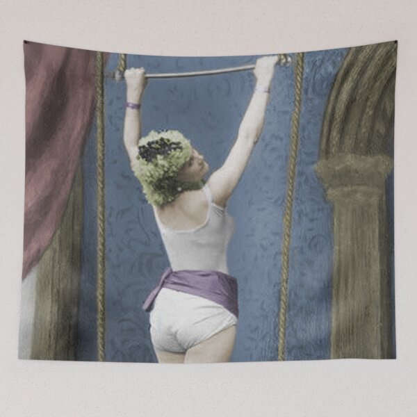 Item preview, The Trapeze Artist designed and sold by princessbunhead.