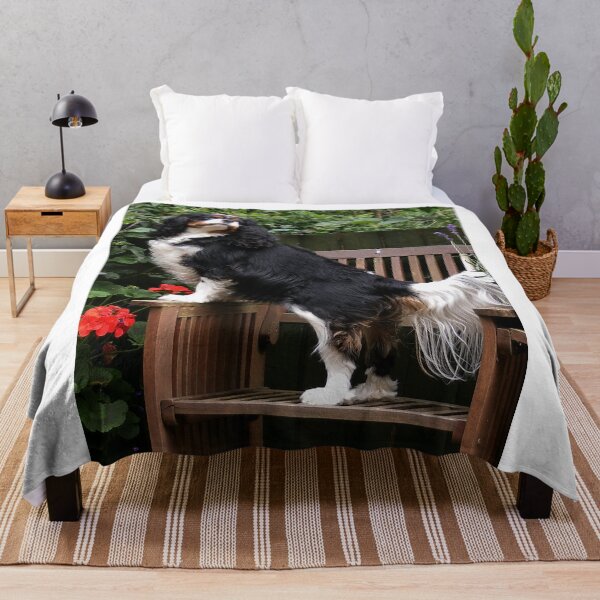 Artikelvorschau, Did Someone say TAIL ??? entworfen und verkauft von AnnDixon.