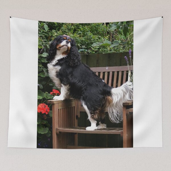 Artikelvorschau, Did Someone say TAIL ??? entworfen und verkauft von AnnDixon.