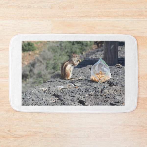 Item preview, Squirrel eating a peanut designed and sold by Hilbert72.