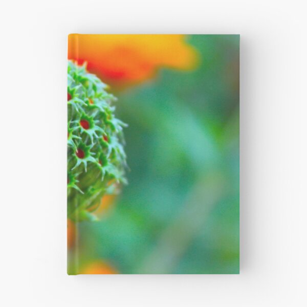 Item preview, Ilumina designed and sold by equilibrio.