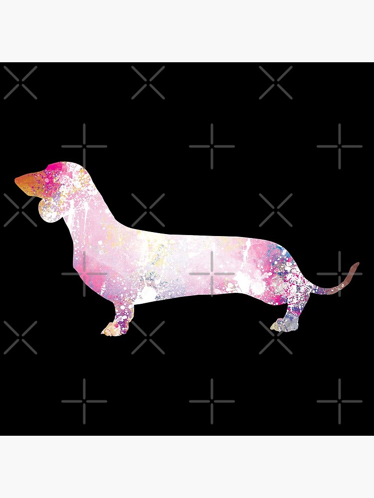 Paint Splash Dachshund by tribbledesign