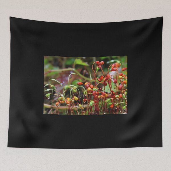 Item preview, Moss & Dew Drops designed and sold by AnnDixon.