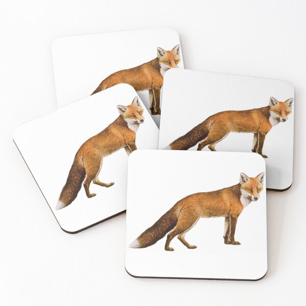 Red Fox Coasters (Set of 4)