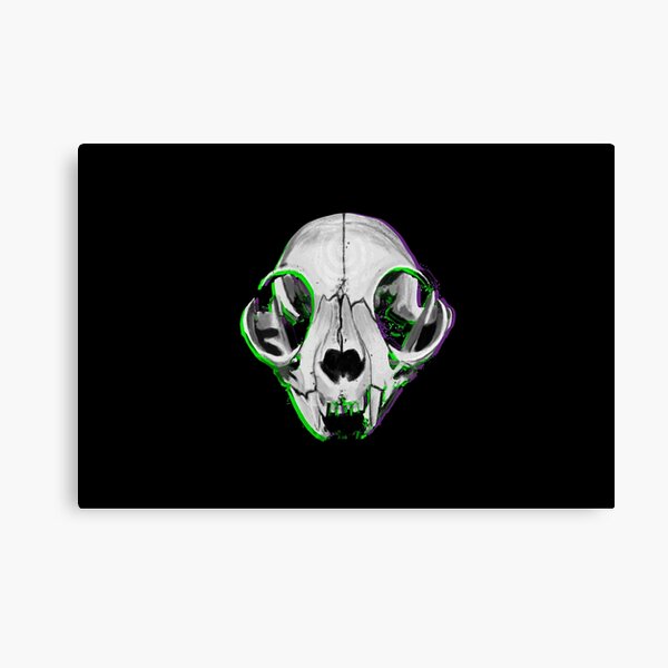 Aperçu de l'œuvre Toxic Catskull créée et vendue par seleth.