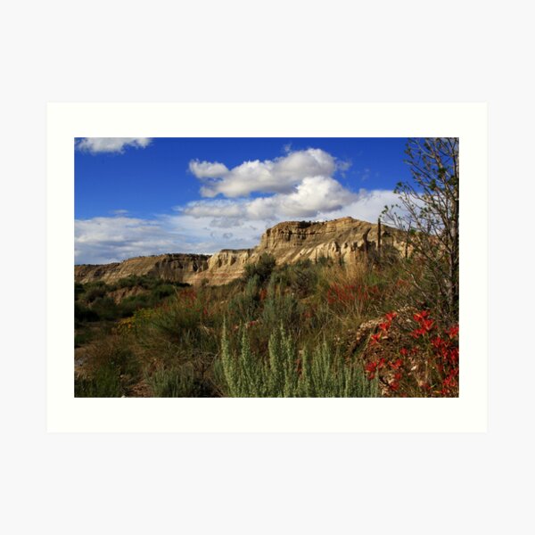 Anything But Deserted Art Print
