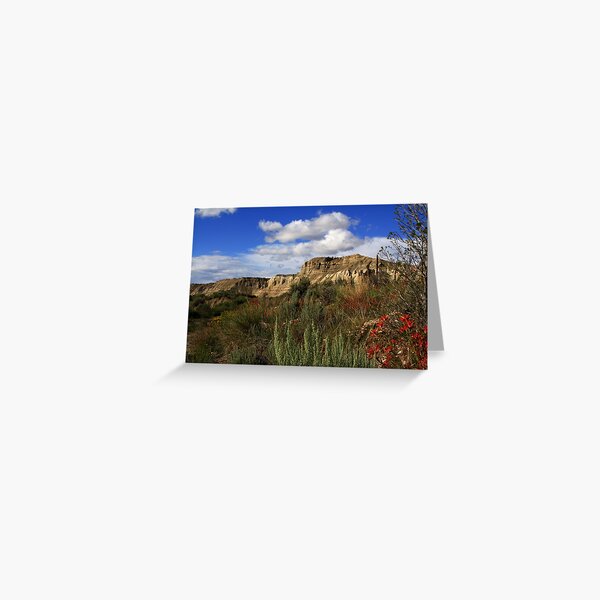 Anything But Deserted Greeting Card