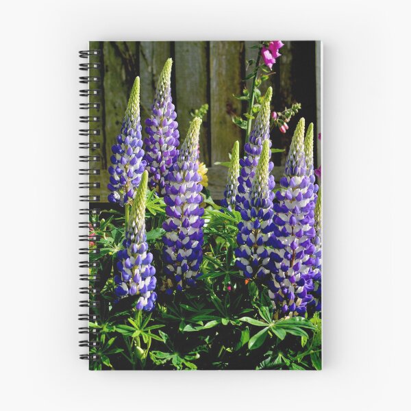 Item preview, Beautiful colourful Lupins designed and sold by Frank  Irwin.