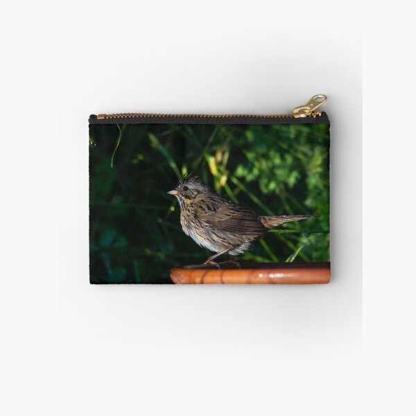 Item preview, Bath Time for The Lincoln Sparrow designed and sold by Debra Martz.