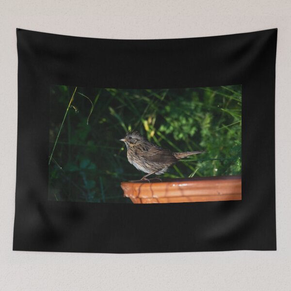 Item preview, Bath Time for The Lincoln Sparrow designed and sold by Debra Martz.