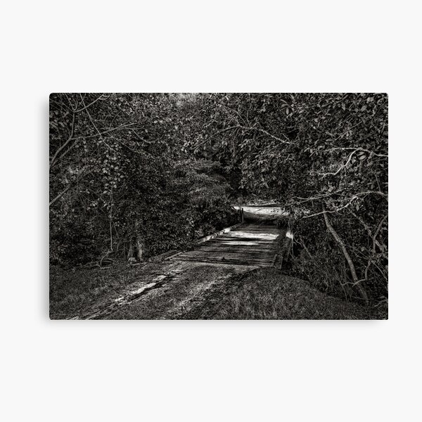Bush Bridge Canvas Print