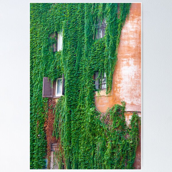 Item preview, Greenfall designed and sold by Luca Tranquilli.