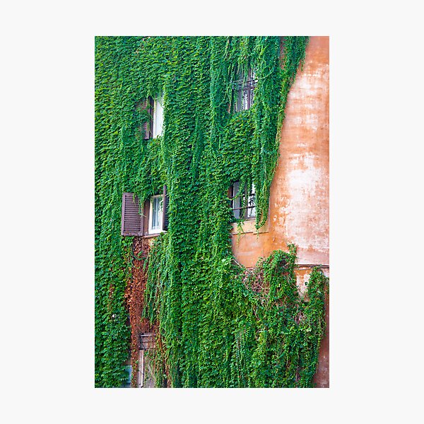 Item preview, Greenfall designed and sold by Luca Tranquilli.