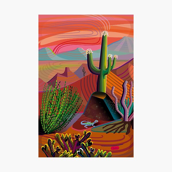Gila River Desert Sunset Photographic Print