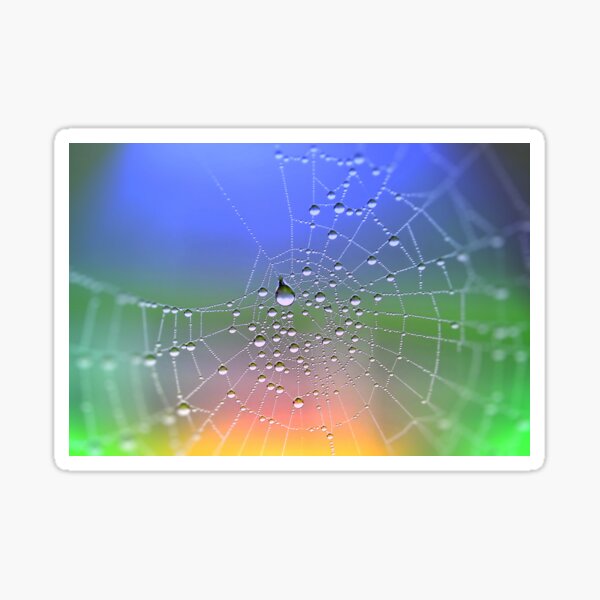 Dew drops in Colour Sticker
