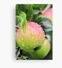 Lienzo Almost Ripe