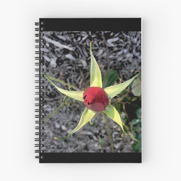 Item preview, Starry Rose designed and sold by KazM.