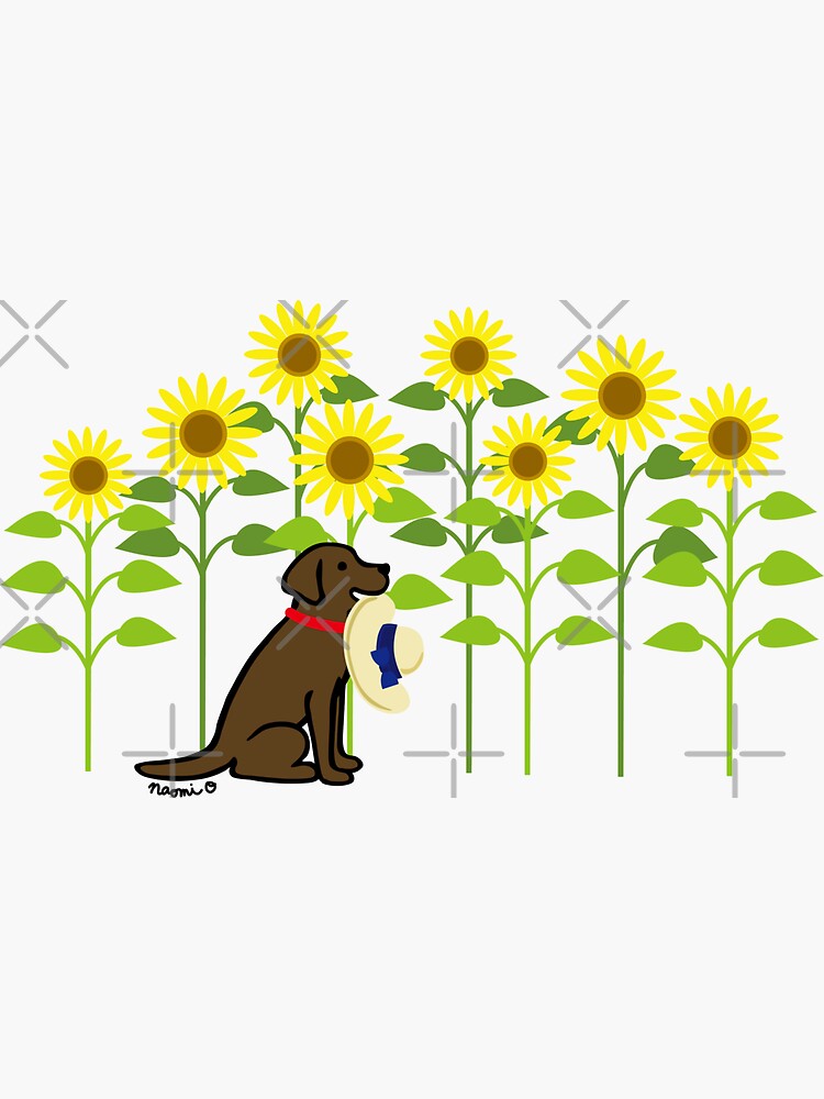 Chocolate Lab in a Yeti Cooler  Sticker for Sale by Cactus0