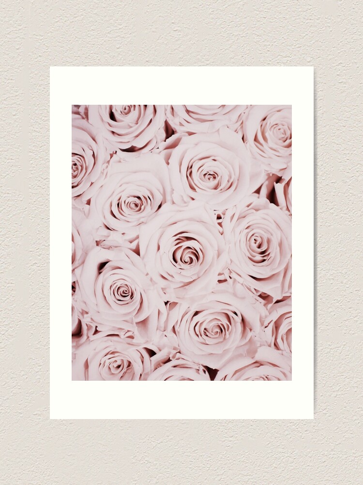 Flowers Print Roses Pink Pastel Fashion Print Scandinavian Art Modern Art Wall Art Print Minimalistic Modern Art Print By Juliaemelian Redbubble
