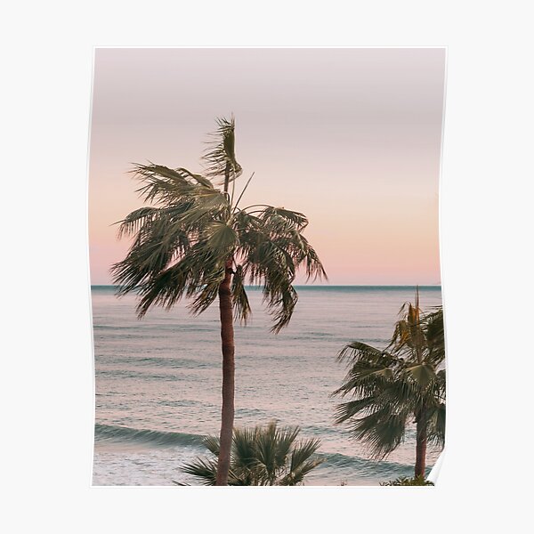 Palm, Summer, Neutral, Beach art, Tropical, Fashion art, Modern art, Wall art, Print, Minimalistic, Modern Poster